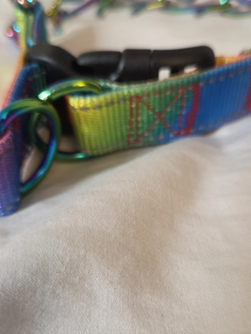 Rainbow Prong Training Collar